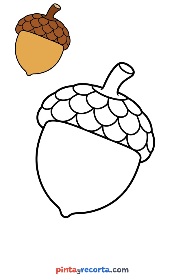 Acorn coloring page with a small color guide, easy level