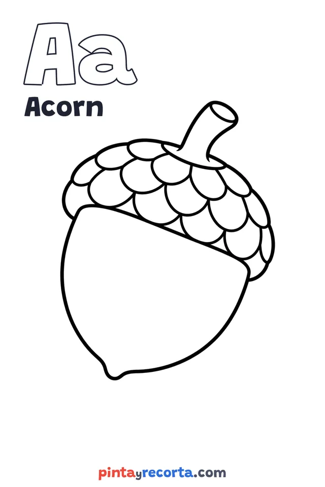 Acorn coloring page with the letter Aa and the word Acorn, easy level