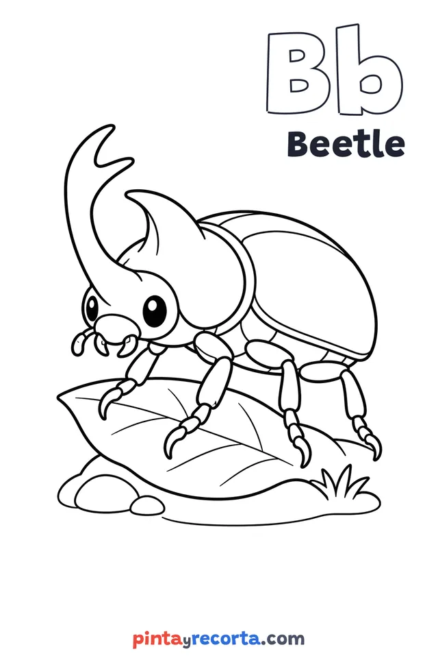 Beetle coloring page with the letter Bb and the word Beetle, easy level