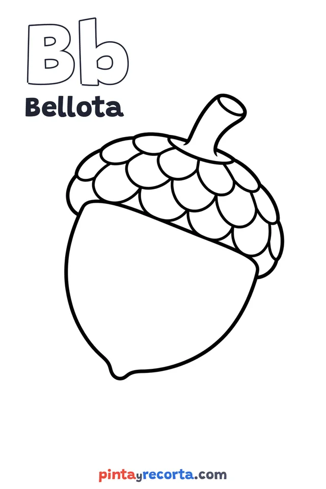 Dibujo de bellota para colorear con la letra Bb y la palabra Bellota, nivel básico