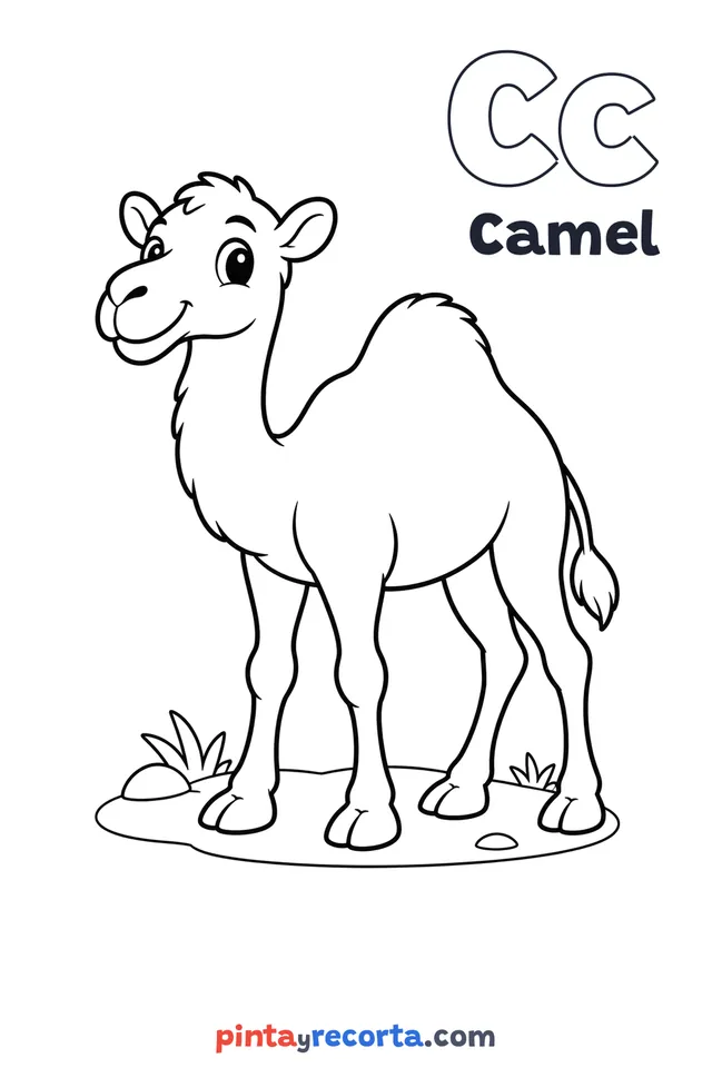 Camel coloring page with the letter Cc and the word Camel, easy level