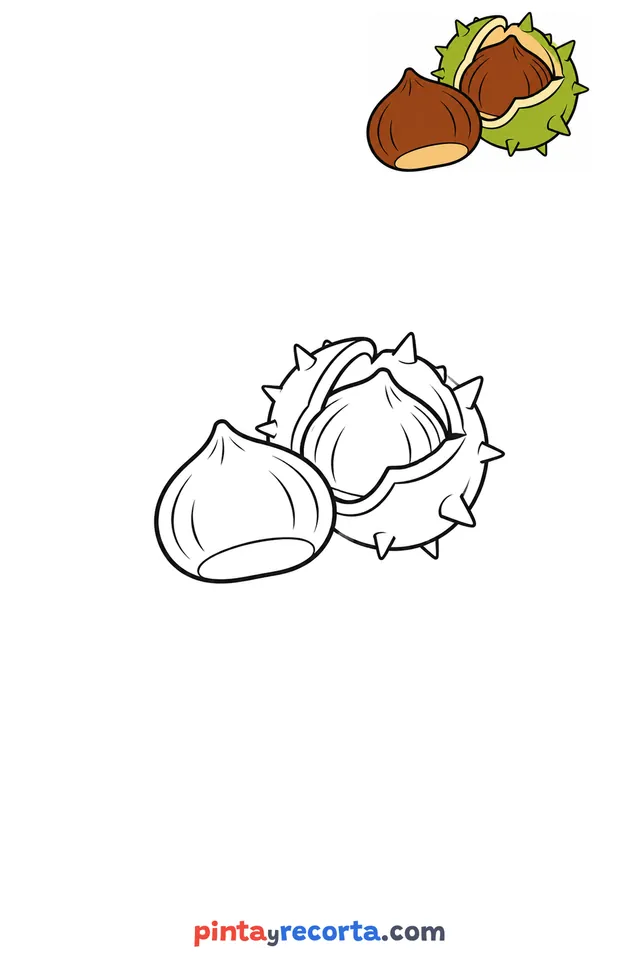 Dibujo de castaña para colorear con una guía de color en miniatura, nivel básico