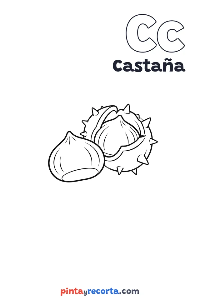 Dibujo de castaña para colorear con la letra Cc y la palabra Castaña, nivel básico