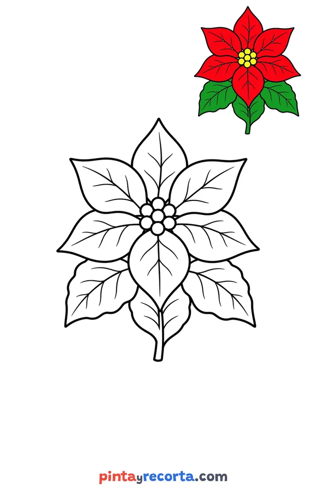Poinsettia coloring page with a small color guide, easy level