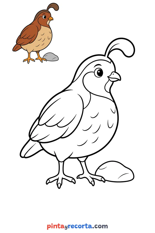 Dibujo de codorniz para colorear con una guía de color en miniatura, nivel básico