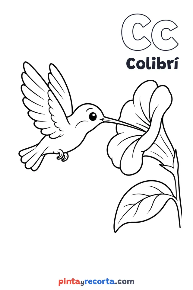 Dibujo de colibrí para colorear con la letra Cc y la palabra Colibrí, nivel básico
