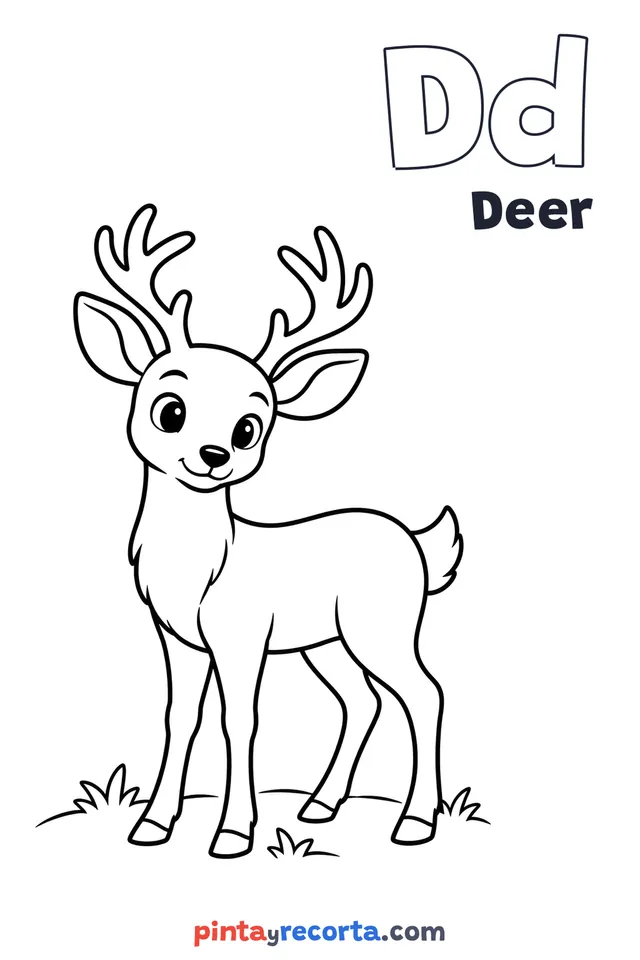 Deer coloring page with the letter Dd and the word Deer, easy level