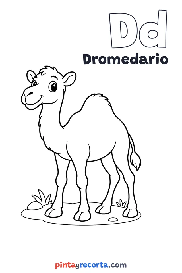 Dibujo de dromedario para colorear con la letra Dd y la palabra Dromedario, nivel básico