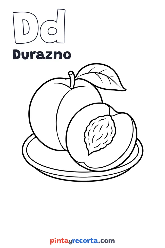 Dibujo de durazno para colorear con la letra Dd y la palabra Durazno, nivel básico