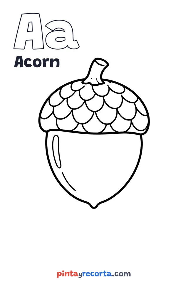 Acorn coloring page with the letter Aa and the word Acorn, easy level
