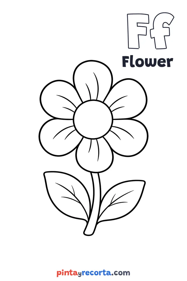 Flower coloring page with the letter Ff and the word Flower, easy level