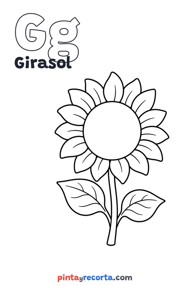 Dibujo de girasol para colorear con la letra Gg y la palabra Girasol, nivel básico