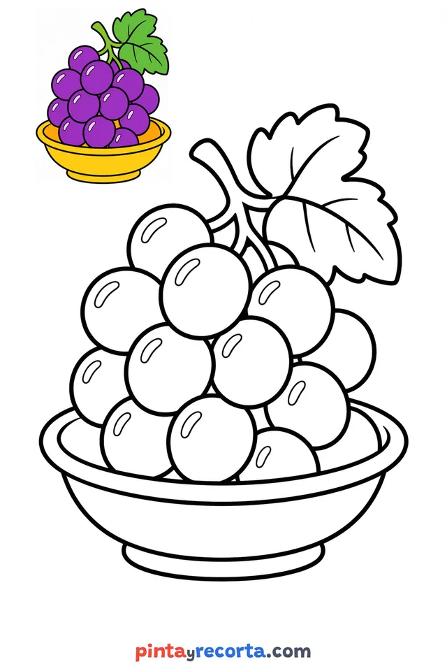 Grapes coloring page with a small color guide, easy level
