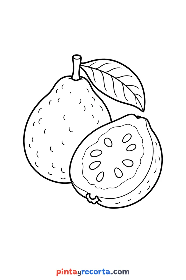 Dibujo de guayaba de Posadas para colorear, nivel básico con trazos gruesos y áreas grandes
