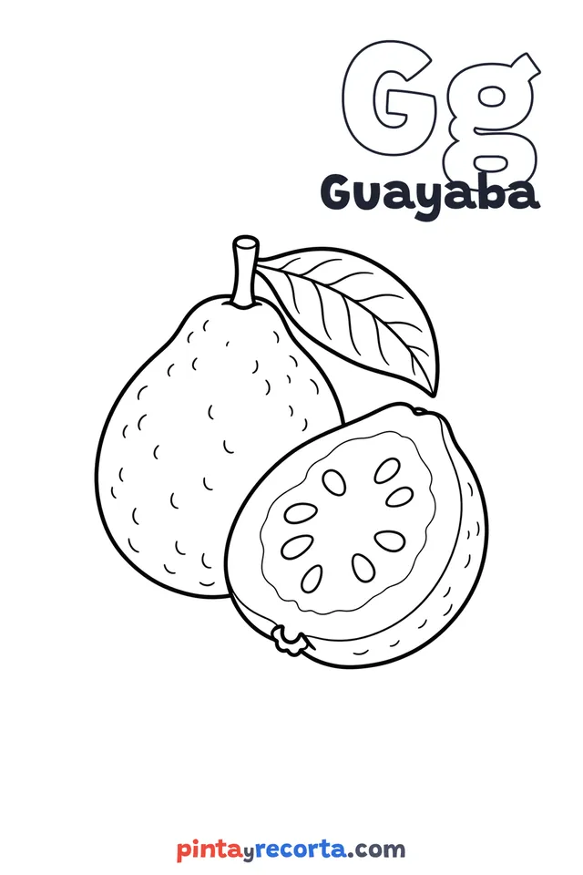 Dibujo de guayaba para colorear con la letra Gg y la palabra Guayaba, nivel básico