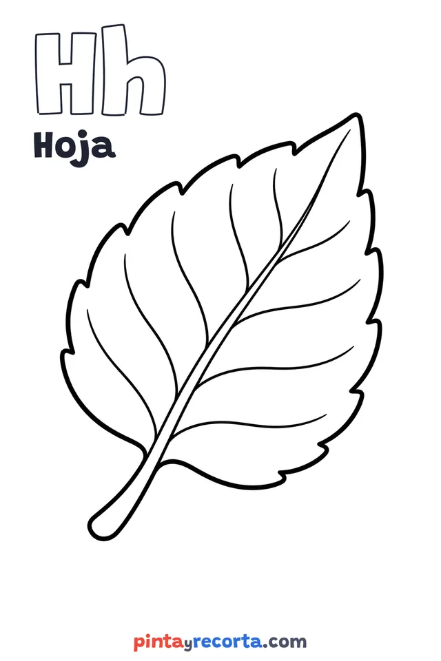 Dibujo de hoja para colorear con la letra Hh y la palabra Hoja, nivel básico