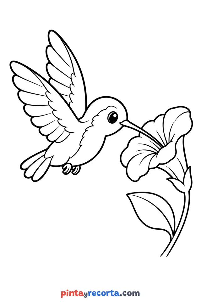 Hummingbird coloring page flying toward a trumpet flower, easy level with thick lines and large areas
