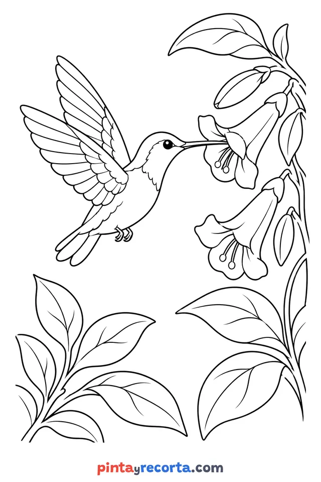 Hummingbird coloring page drinking from bell flowers among branches and leaves, advanced level with a full scene