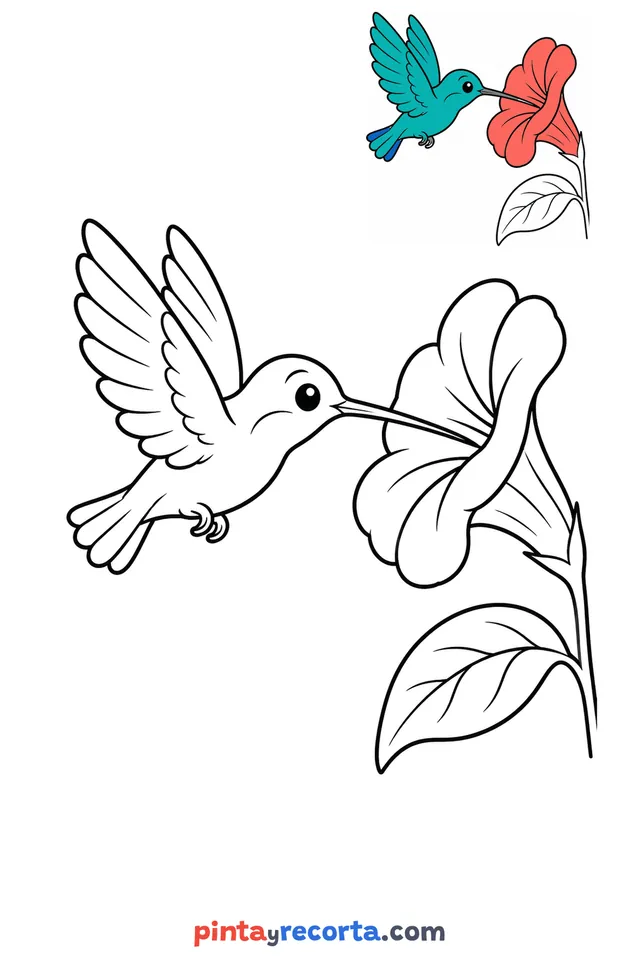 Hummingbird coloring page with a small color guide, easy level