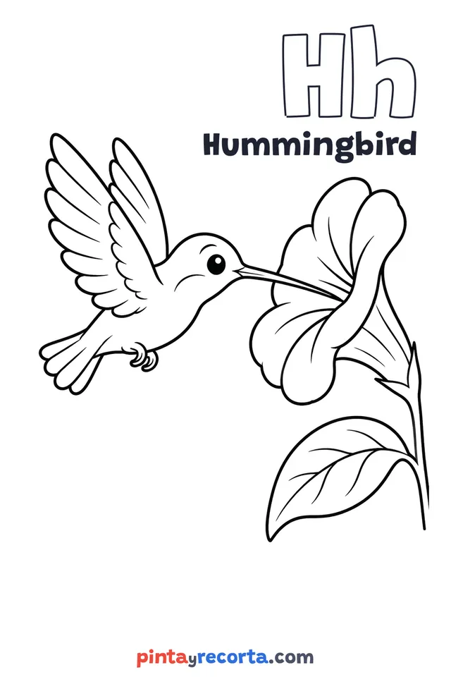 Hummingbird coloring page with the letter Hh and the word Hummingbird, easy level