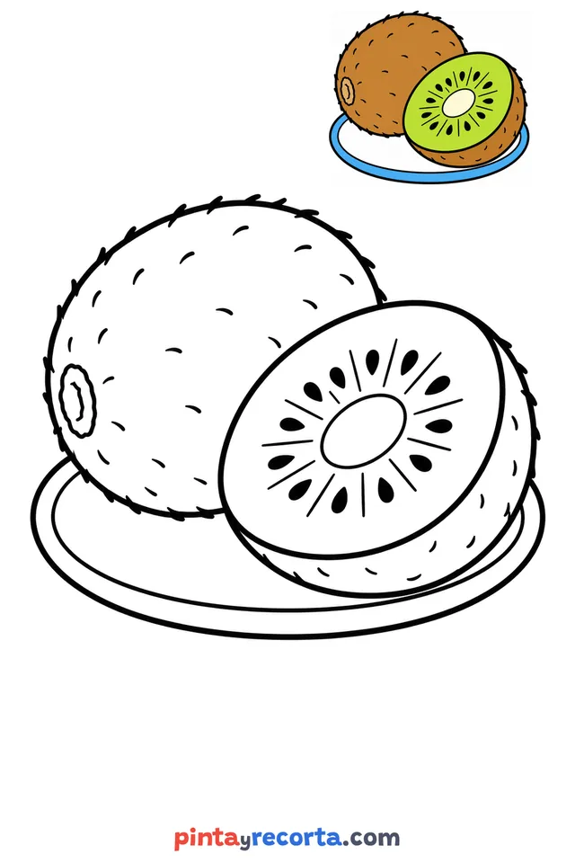 Kiwi coloring page with a small color guide, easy level