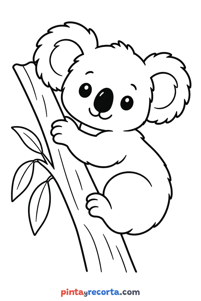 Dibujo de koala para colorear de cuerpo completo en pose tranquila, nivel básico con trazos gruesos y áreas grandes