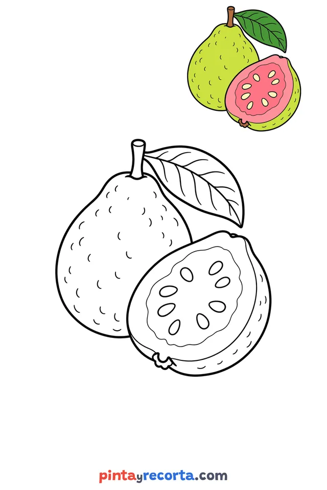 Guava coloring page with a small color guide, easy level