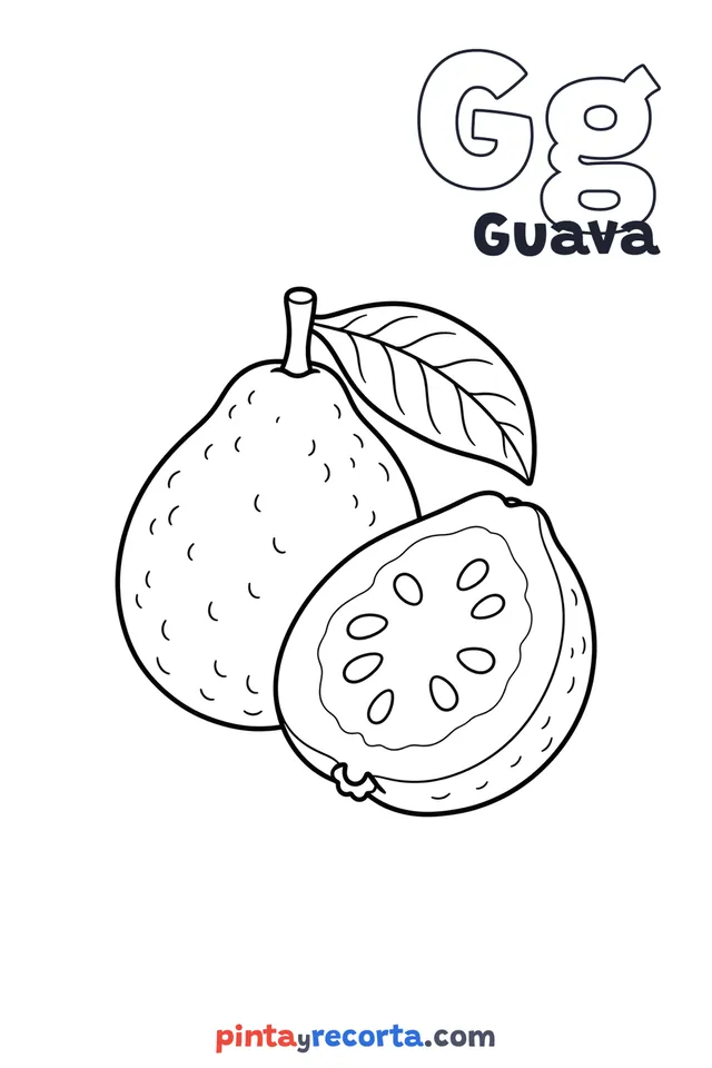 Guava coloring page with the letter Gg and the word Guava, easy level