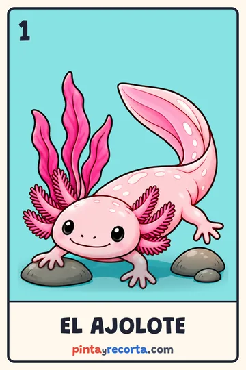 Carta del ajolote de la lotería de animales de México