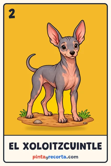 Carta del xoloitzcuintle de la lotería de animales de México