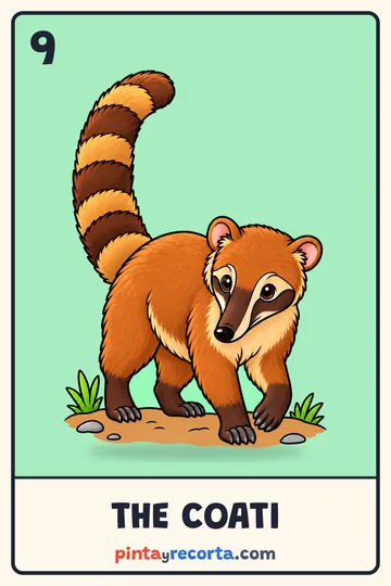 Coati card from the Mexican Animals Lotería