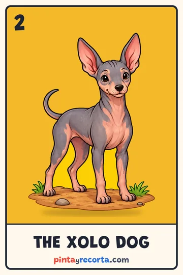 Xolo Dog card from the Mexican Animals Lotería