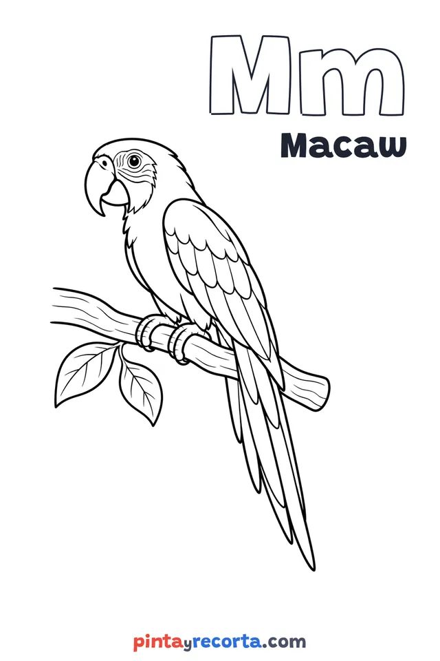 Macaw coloring page with the letter Mm and the word Macaw, easy level