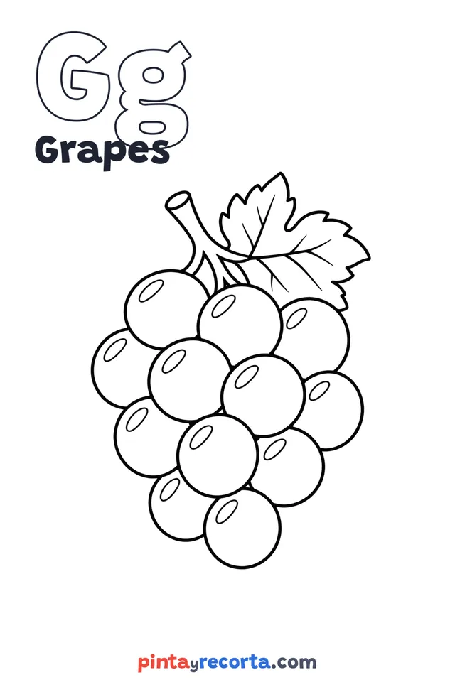 Grapes coloring page with the letter Gg and the word Grapes, easy level