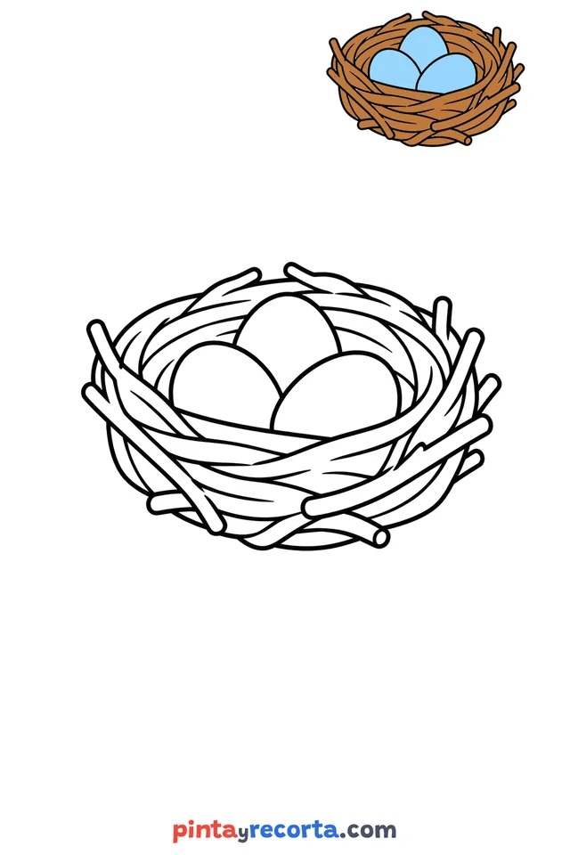 Dibujo de nido para colorear con una guía de color en miniatura, nivel básico