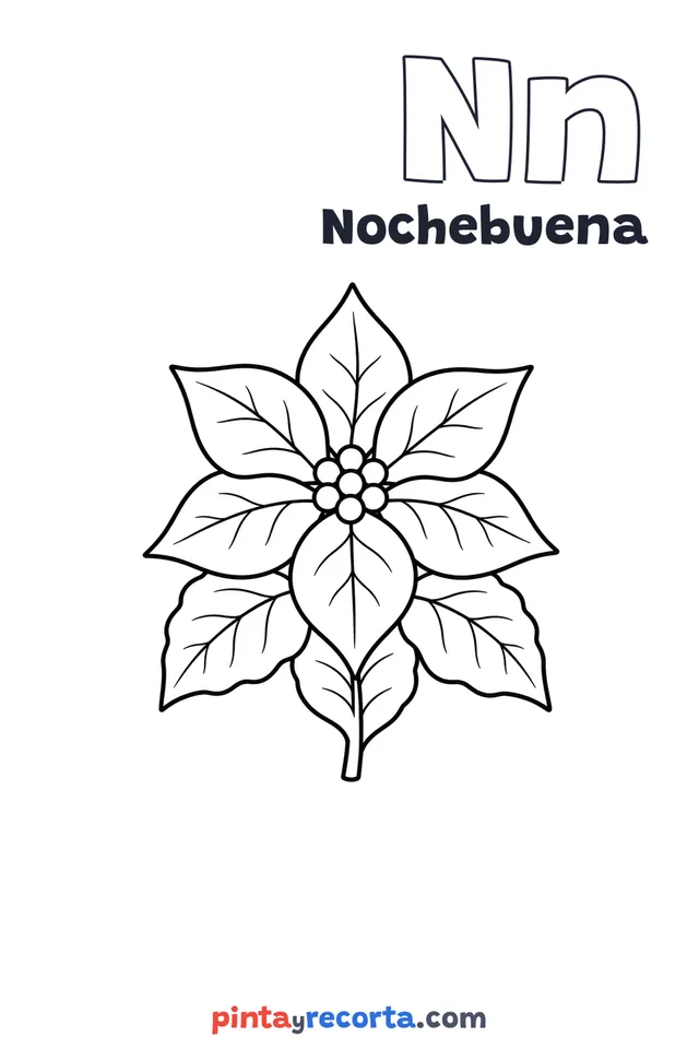 Dibujo de nochebuena para colorear con la letra Nn y la palabra Nochebuena, nivel básico