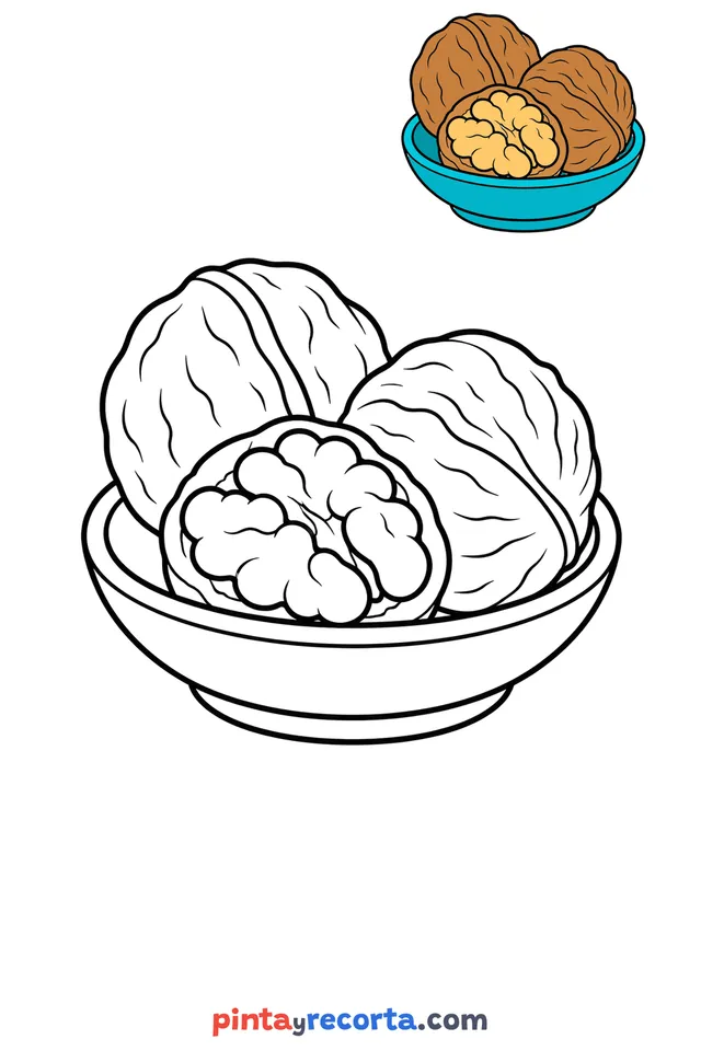 Nut coloring page with a small color guide, easy level