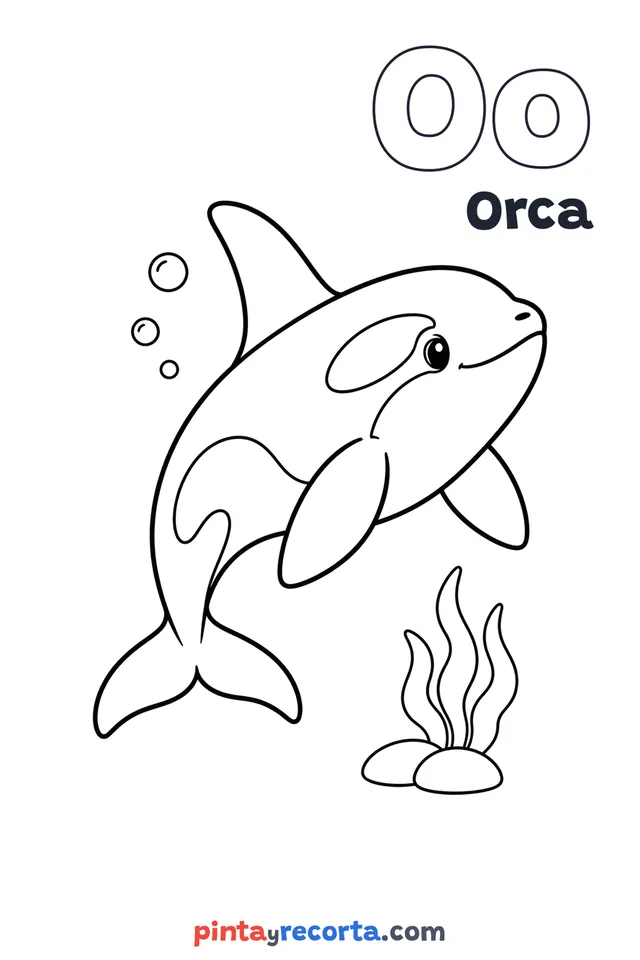 Orca coloring page with the letter Oo and the word Orca, easy level