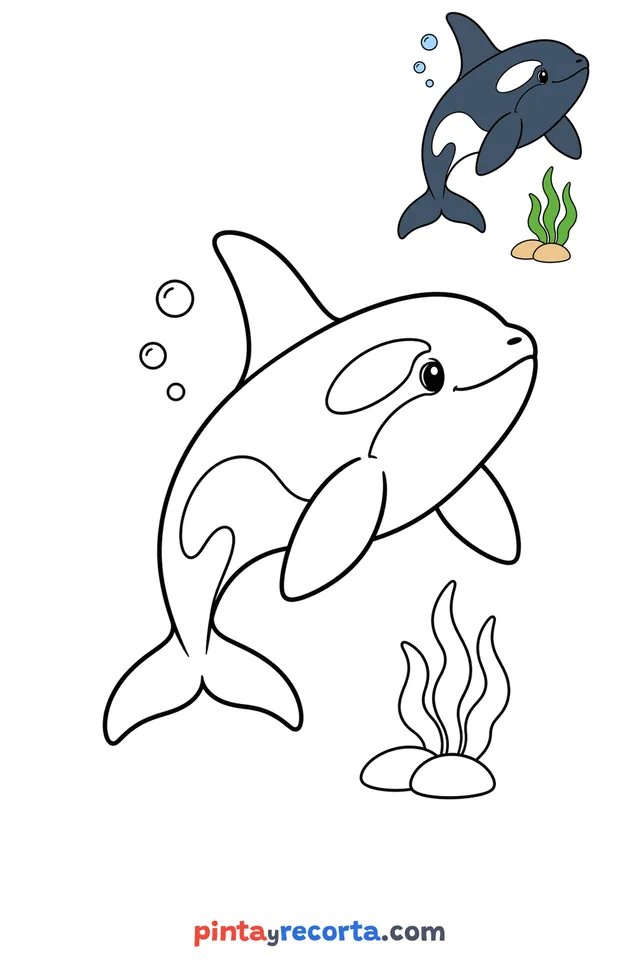 Dibujo de orca para colorear con una guía de color en miniatura, nivel básico