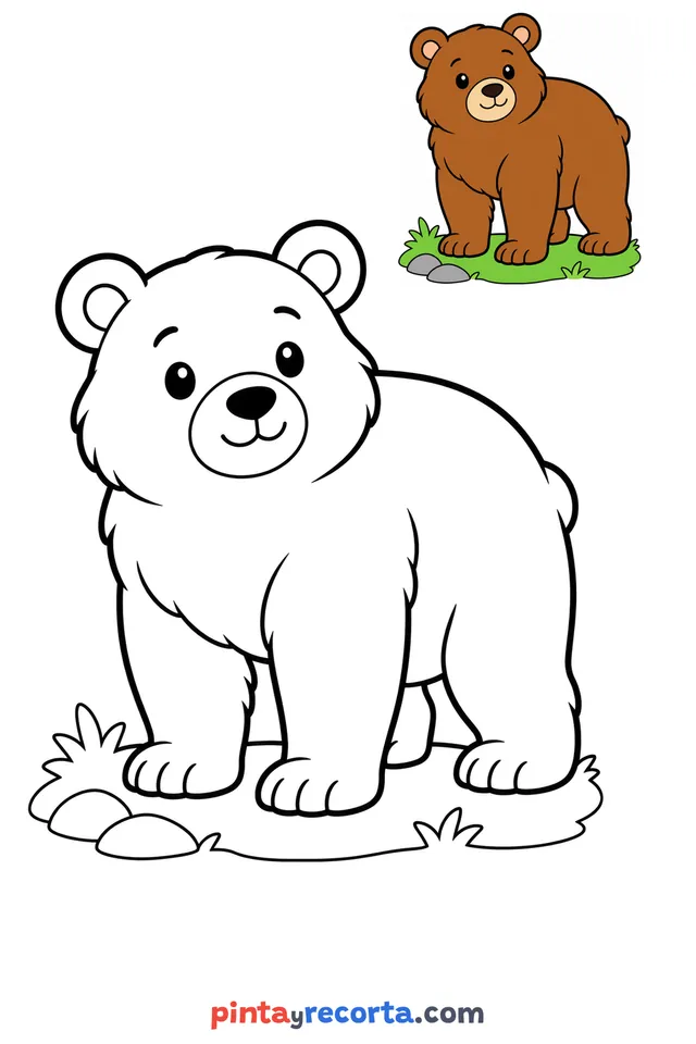 Dibujo de oso para colorear con una guía de color en miniatura, nivel básico