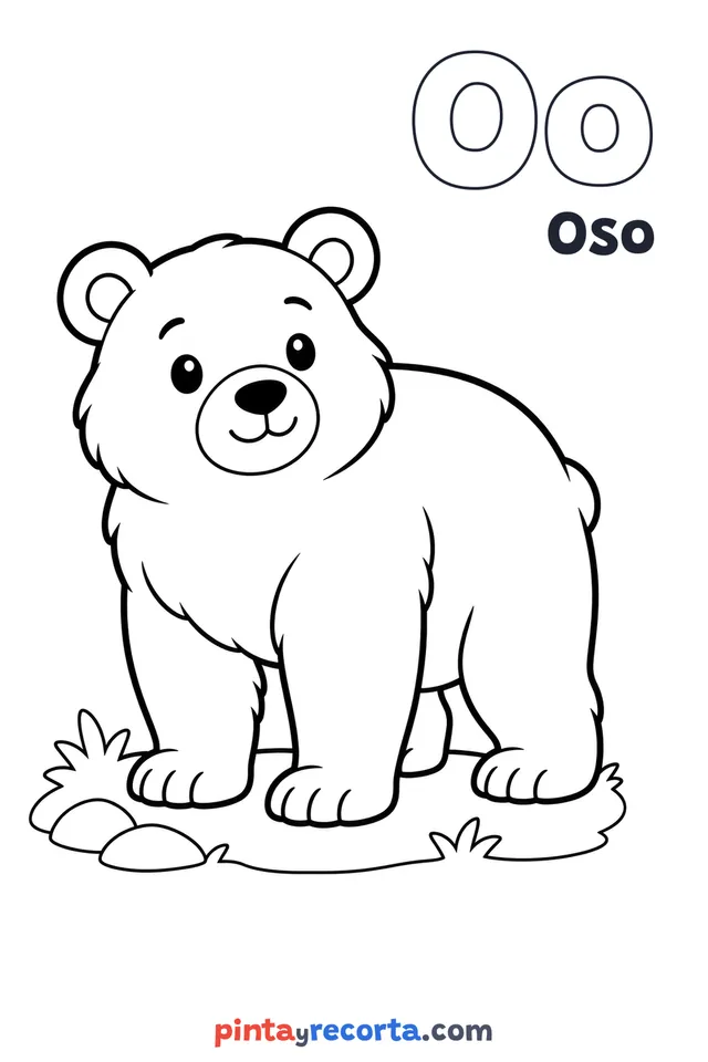 Dibujo de oso para colorear con la letra Oo y la palabra Oso, nivel básico