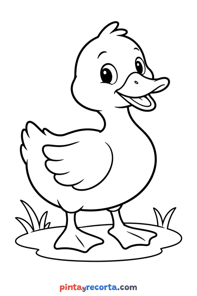 Dibujo de pato para colorear de cuerpo completo en pose tranquila, nivel básico con trazos gruesos y áreas grandes