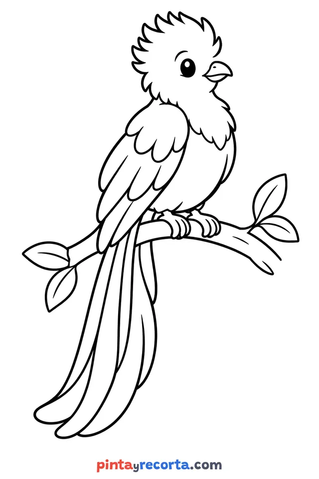 Quetzal coloring page: full body in a calm pose, easy level with thick outlines and big spaces