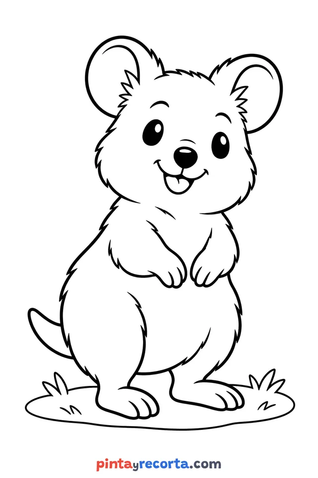 Quokka coloring page: full body in a calm pose, easy level with thick outlines and big spaces