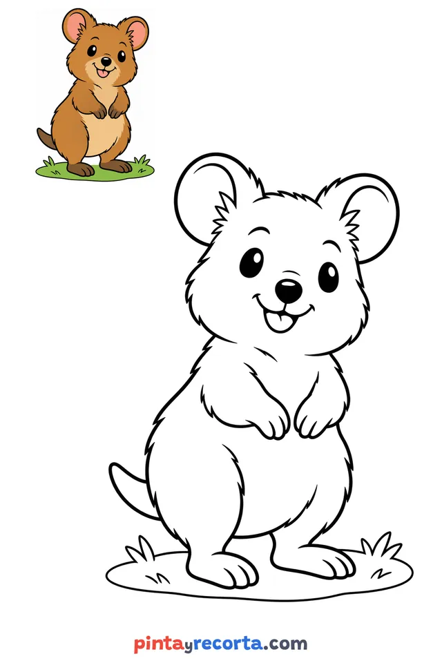 Dibujo de quokka para colorear con una guía de color en miniatura, nivel básico