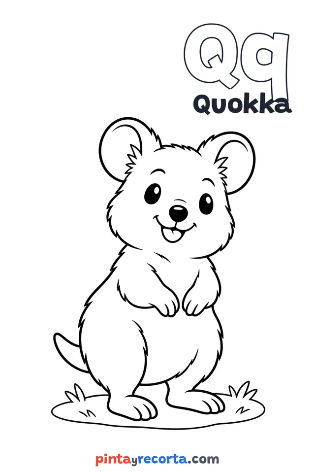Dibujo de quokka para colorear con la letra Qq y la palabra Quokka, nivel básico
