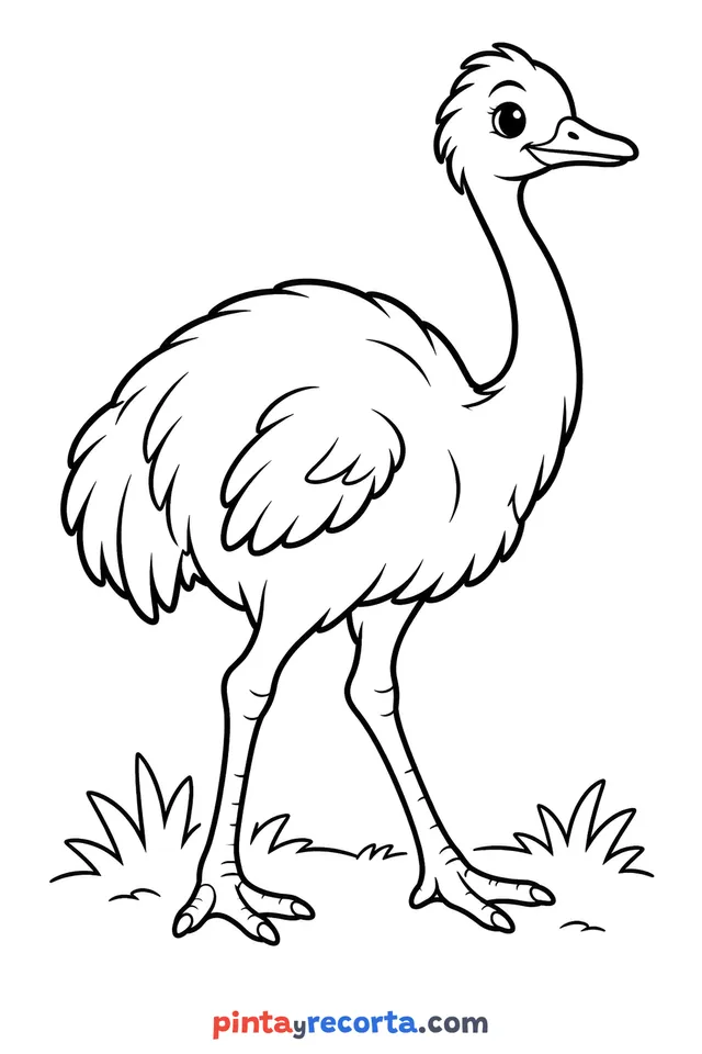 Rhea coloring page: full-body rhea in a calm pose, easy level with thick outlines and big spaces