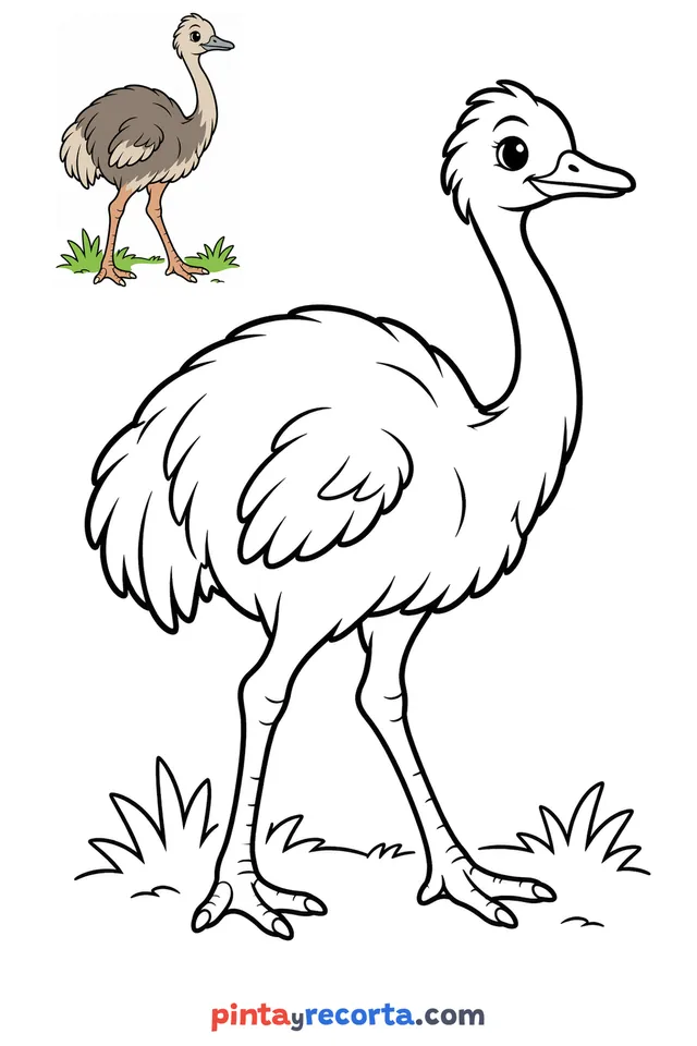 Rhea coloring page with a small color guide, easy level