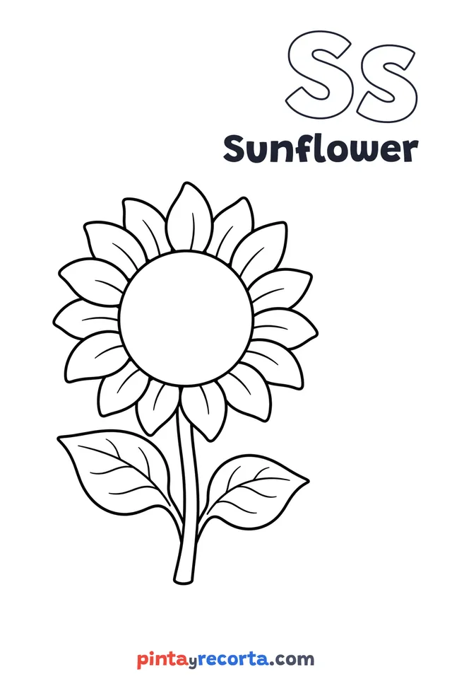 Sunflower coloring page with the letter Ss and the word Sunflower, easy level
