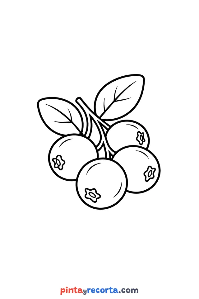 Thanksgiving cranberry coloring page, easy level with thick outlines and big spaces